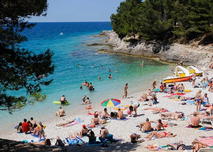 Daire Apartman Stella Veruda